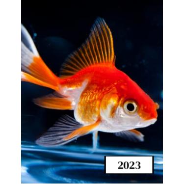 Imagem de 2023: Agenda semainier au format A4 - Année civile (Janvier à Décembre 2023) - Intervalles d'1h (7h-22h) - Contacts, jours fériés, mots de passe, ... - Une semaine sur deux pages