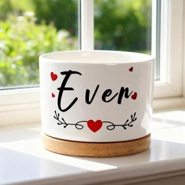 Imagem de Vaso de cerâmica branca para suculentas: adequado para vasos de flores de suculentas/cactos com bandejas de madeira e drenagem - Decoração moderna de mesa - Bom para presentear os amantes de plantas