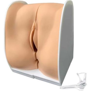 Imagem de Modelo De Genitália Interna Feminina, Modelo De Treinamento De Diu De Modelo Humano, Modelo De útero Feminino Em Tamanho Real Com Estrutura De Anatomia Precisa Para Observar Os Princípios D