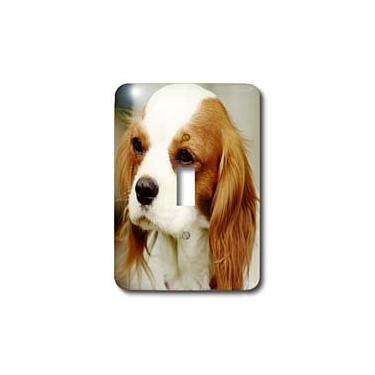 Imagem de 3dRose lsp_46182_1, Cavalier King Charles Spaniel Interruptor