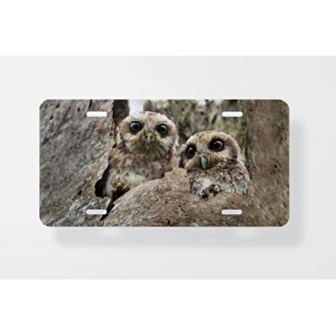 Imagem de Capa para placa de carro com 2 placas de licença de coruja ou cubano coruja Gymnoglaux Lawrencii da The Bare Legged Owl Or Cubana - Capa para placa de carro - Capa para moldura de placa de carro 15 x 30 cm