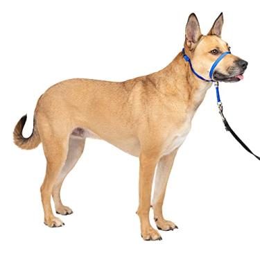 Imagem de PetSafe Coleira de cabeça suave Leader, coleira de cachorro sem puxar, perfeita para treinamento de coleira e arreio, Médio, azul royal