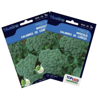Imagem de 2X Sementes de Brócolis Calabrês de Cabeça Blueline TOPSEED