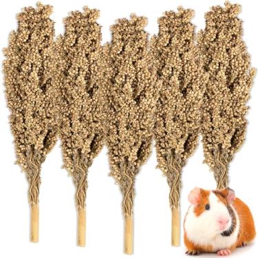 Imagem de Sukh Sprays naturais para hamster – 5 peças de grãos naturais de sorgo vermelho seco ao sol, hastes de flor e ervas para decoração de cama de habitat de gaiola para hamsters anões sírios, gerbos