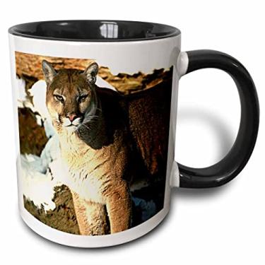 Imagem de 3dRose mug_651_4 Caneca preta de dois tons Cougar, 325 ml, preto/branco