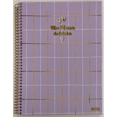Imagem de Planner Permanente de Estudo  EspiralCom 84 Fls SD