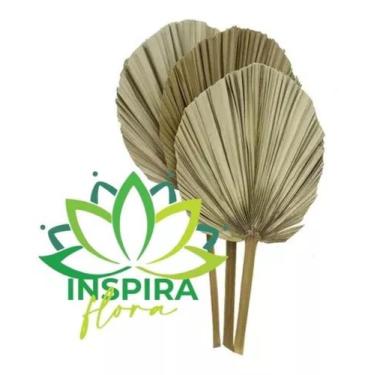 Imagem de Kit Com 6 Folhas De Latania Seca Natural Decoração Arranjo - FLORA FUL