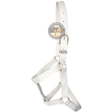 Imagem de Cabresto de pónei Para Cavalo Quarto De Milha passeio - selaria shoppi