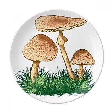 Imagem de Prato de ilustração de trufas de planta verde decorativa de porcelana Salver louças de jantar