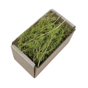 Imagem de Dynwave Grama em miniatura realista, paisagismo, tufo espesso, diorama, ferroviário, grama falsa para mesa de areia, trens, jardim de fadas, Primavera verde