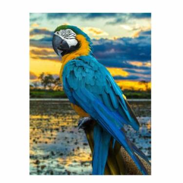 Imagem de Artesanato Pintura Diamante Diy 30X40 - ARARA CANINDE - PPSHOP