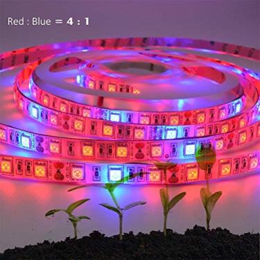 Imagem de Hyuduo LED PLANT GROWN Light Strip 5050 SMD LED Grow Light Bar Com Azul 4: 1 Proporção para Plantas Internas Horticulture Greenhouse (3)