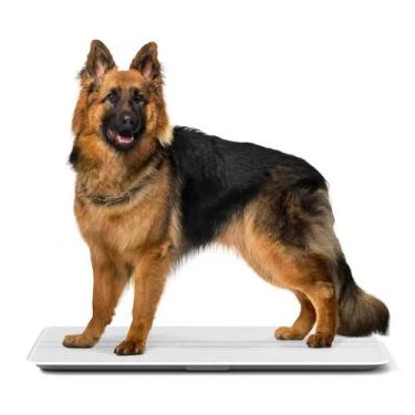 Imagem de Balança Digital 100 Kg para Uso Veterinário Animais Cachorro e Gato Pe