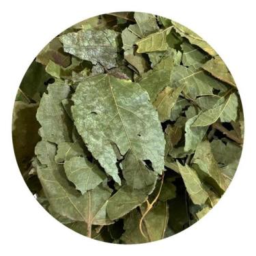 Imagem de Mutamba Folha 500g (Erva Desidratada) - Life Magazine