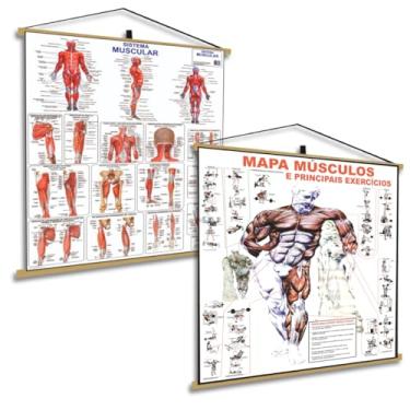 Imagem de 2 Banner: Músculos Muscular Academia Exercícios Calistenia Pôster Corpo Humano Mapa