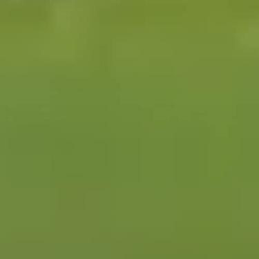 Imagem de Tinta PVA Fosca para Artesanato Acrilex 100 ml Verde Pistache- 570