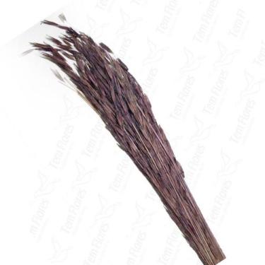 Imagem de Capim Trigão Flor Desidratada Buque Flores Secas - Pense Flores, Roxo