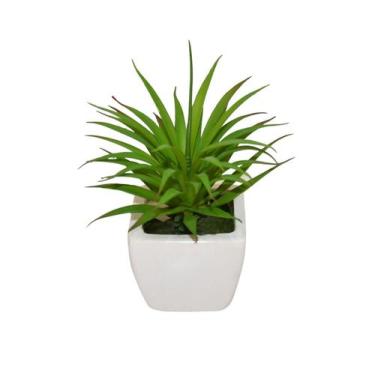 Imagem de Suculenta Cacto de Pontas Artificial em Vaso de Louça 15cm - Bela Flor