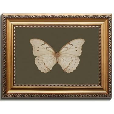 Imagem de Uniro Arte de parede vintage com moldura dourada, pinturas a óleo de borboleta clássicas, impressões em tela de inseto temperamental escuro com moldura antiga, imagens de decoração de parede verde