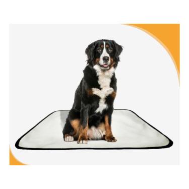 Imagem de Tapete Para Cães Reutilizável Em Oferta 4 Un M1 70X100 Cm - Shelby Mod