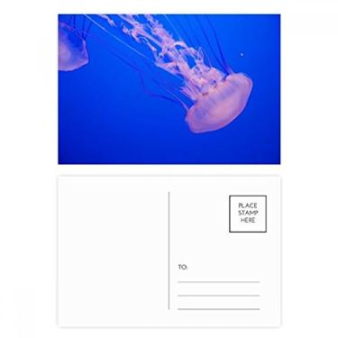 Imagem de Cartão postal Tropical Sea Organismo Marinho Água-viva Conjunto de cartões postais de aniversário