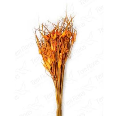 Imagem de Capim Estrela Laranja Flor Desidratada Buque Flores Secas - Tem Flores