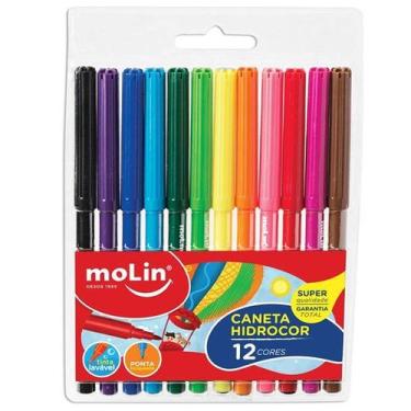 Imagem de Canetas hidrográficas Hidrocor 12 cores Molin