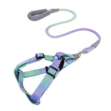 Imagem de Coleira e Guia com Amortecedor e Pegador Peitoral Ajustável Para Pets Cachorros Colorido(Roxo Verde,S)