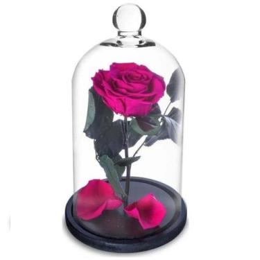 Imagem de Rosa Encantada a Bela e a Fera na Cúpula de Vidro - Pense Flores, Pink
