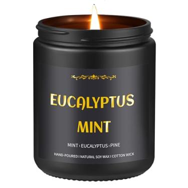 Imagem de Vela de menta de eucalipto, vela perfumada de 255 g para homens, velas de soja para casa perfumada, vela masculina para ele, vela masculina de 50 horas de queima, presente para namorado, pai, presente
