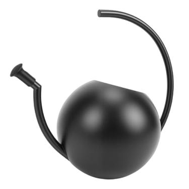 Imagem de Depisuta Regador para Plantas de Interior, 35 Onças 1000 Ml de Metal Em Aço Inoxidável Bico Longo Flores Regador Pequeno Bonsai Jardim Ao Ar Livre Decorativo Moderno para Suculentas