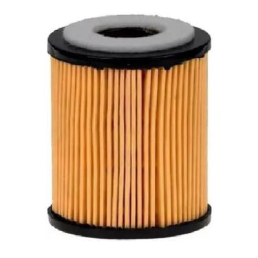 Imagem de Ford Focus Filtro de Oleo Genuíno