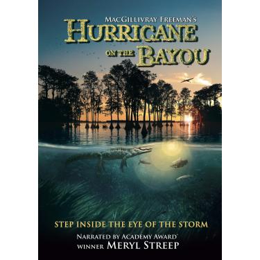 Imagem de HURRICANE ON THE BAYOU