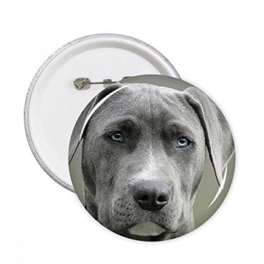 Imagem de Bonita imagem de animal de estimação de cães, pinos redondos, emblema, emblema, acessório, 5 peças