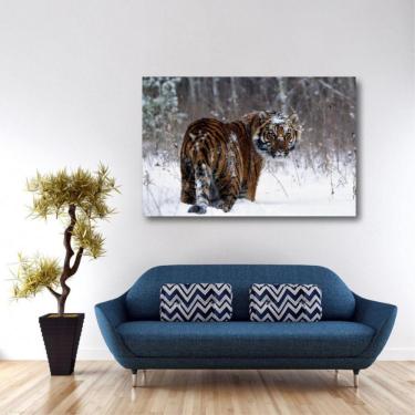 Imagem de Quadro Tigre Paisagem Natureza decorativo Tela em Tecido