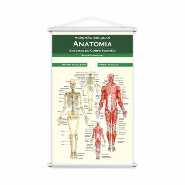 Imagem de Banner Escolar Pedagógico Resumão Anatomia Medicina 120x60cm - PlimSho