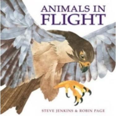 Imagem de Animals In Flight
