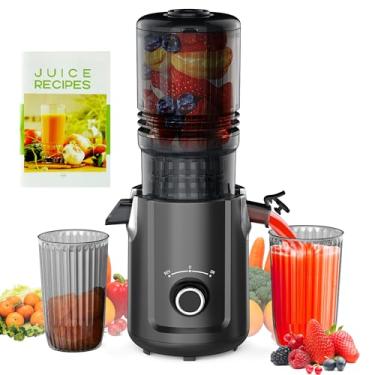 Imagem de Hobsir Juicer Machines, espremedor a frio de 13 cm, máquina de espremedor lento mastigável com 300 W, máquinas de suco de ralo de alimentação grande para legumes e frutas, fácil de limpar Juicers