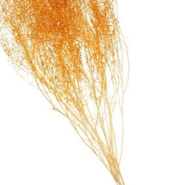 Imagem de Buque de Flores Secas Sementinha Verde - Pense Flores, Laranja