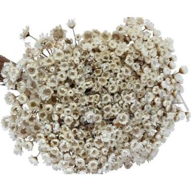 Imagem de 300 Florzinhas Sempre vivas arranjo buquê casamento chá decoração mesa Flor seca preservada(NATURAL)