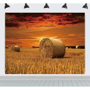 Imagem de ZhrGoflli Cenário para fotografia de outono, 3 x 2,4 m, palheiro, palheiro, crepúsculo, paisagem, retrato, vídeo, sessão de fotos