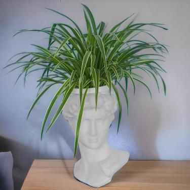 Imagem de Cachepot Escultura de Davi Michelangelo Branco Tpc Irregular 32CM X 25CM X 22CM em Polietileno Decorativo para Plantas