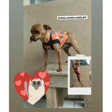 Imagem de Roupinha pet - Aline 