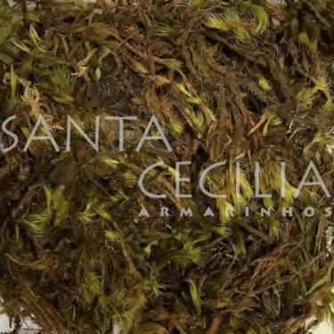 Imagem de Musgo Verde Natural para Decoração - 100g - FLORES SUL