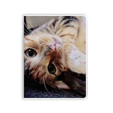 Imagem de Caderno de capa macia com estampa de animais e gatos listrados, gatinhos relaxados