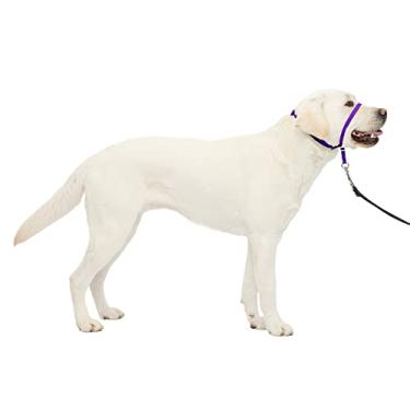 Imagem de PetSafe Coleira para cães Gentle Leader para cães que não puxam, grande 27-59 kg, roxo profundo