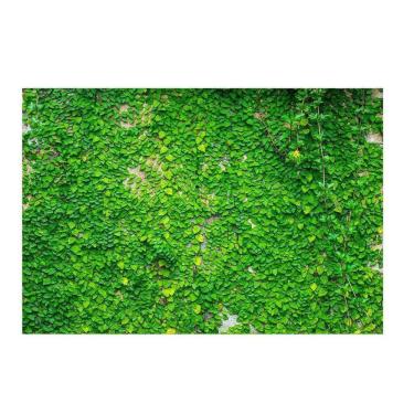 Imagem de Fundo Fotográfico Newborn Muro Inglês 3,0X2,5 Ffg-096