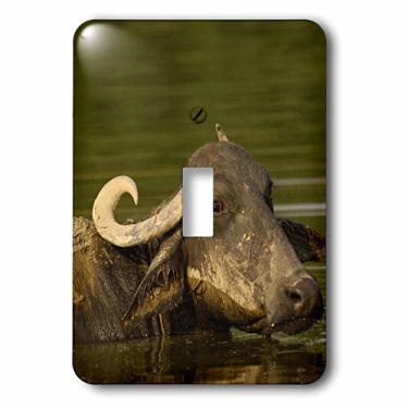 Imagem de 3dRose lsp_70868_1" Water buffalo, Wildlife, Bharatpur village, AS10 POX0543-Pete Oxford Interruptor de botão único