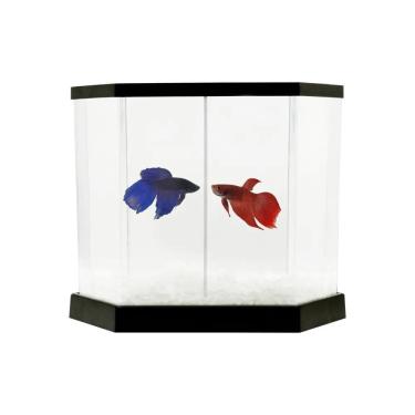 Imagem de Kit Aquário para peixe - Beteira Betta-Flex 5,5 litros - Transparente / Preto