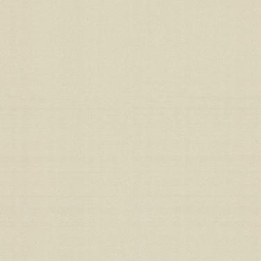 Imagem de Papel de Parede Ciara Textura Cinza A13317